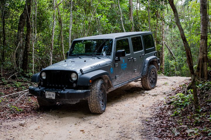 Tortugas Jeep Adventure & ATV Jungle Experience  - Image 2