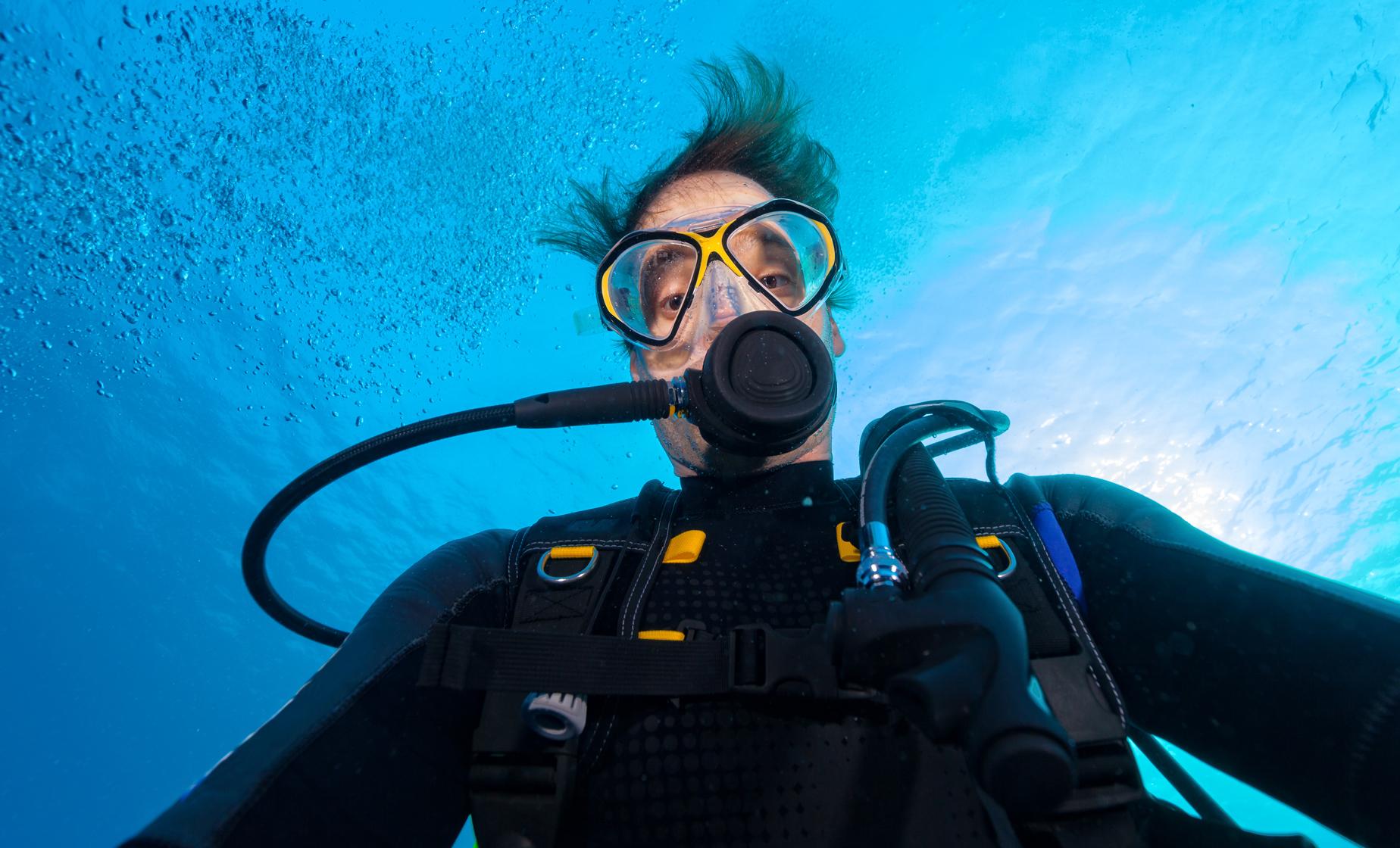 Two Tank Certified Dive with Equipment - Image 1