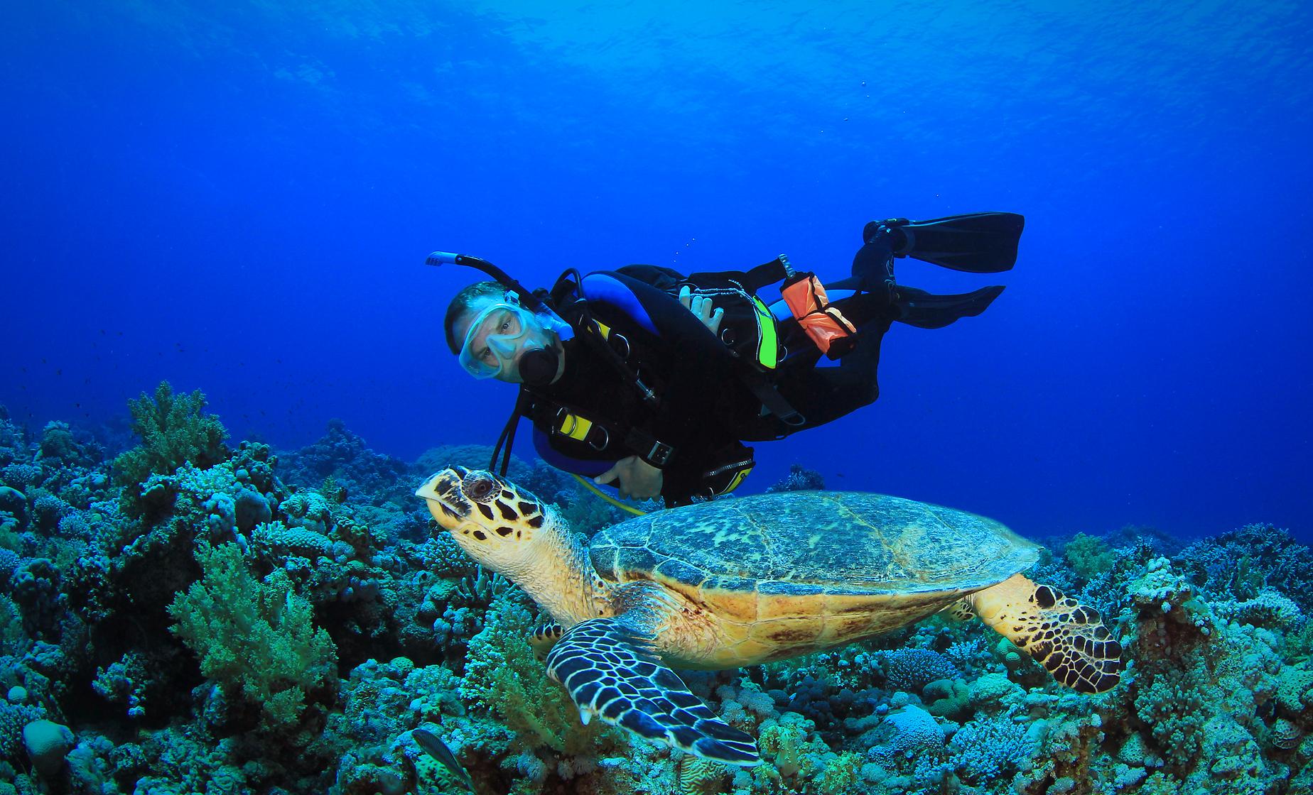 Two Tank Certified Dive without Equipment - Image 1