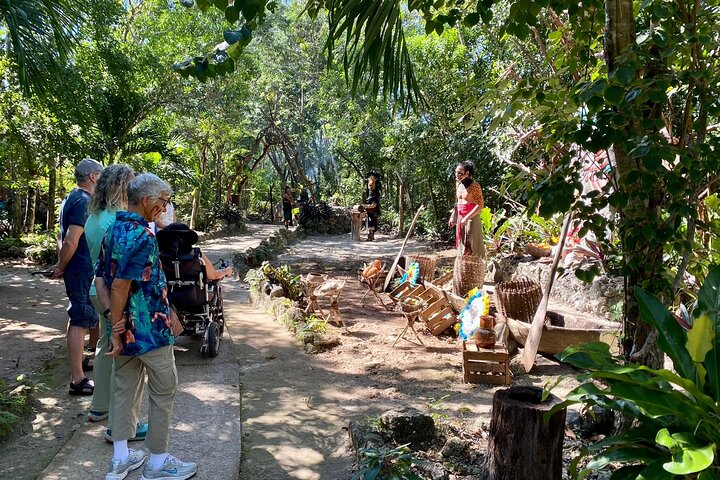 Wheelchair-Accessible Private Island Tour of Cozumel - Image 3