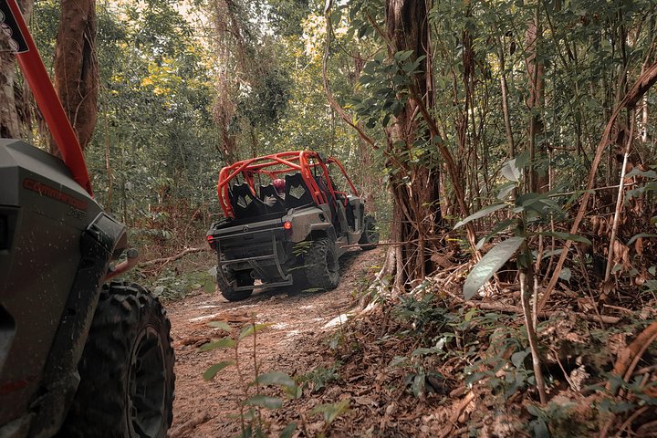 XRAIL Adventure to Jade Cavern Private Vehicle up to 4 Guests Including Transfer - Image 3