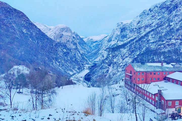 PRIVATE GUIDED TOUR: World Heritage Fjord Landscape tour, from Flåm, OFF-SEASON - Image 5