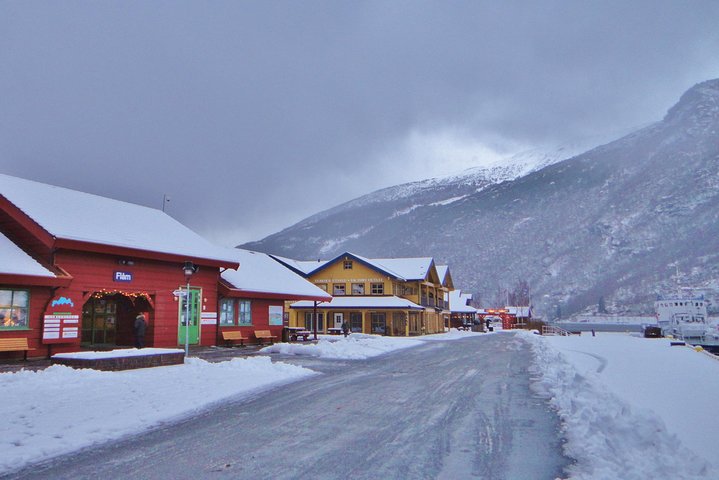 PRIVATE GUIDED TOUR: World Heritage Fjord Landscape tour, from Flåm, OFF-SEASON - Image 2