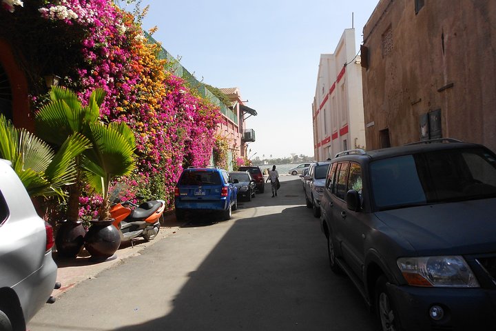 3-day saint-Louis / Lompoul desert experience ( 2 nights) - Image 5