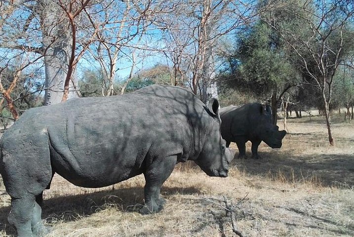 Bandia Animals Reserve combined With The Pink Lake - Image 2