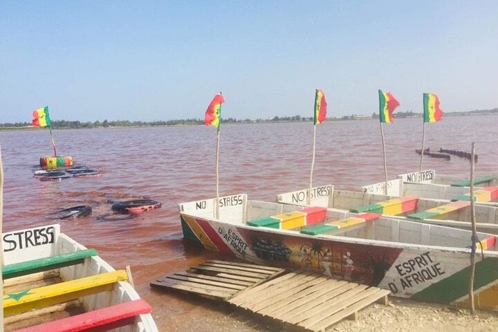 Day Gorée Island - Pink Lake - Image 4