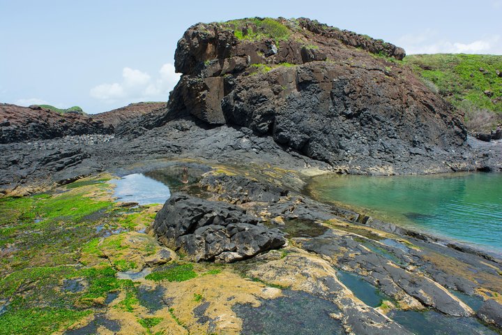 Excursion - Dakar 360 ° - Image 4