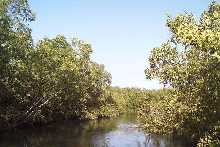 Half-Day Somone Lagoon and Bandia Park Safari from Dakar - Image 2