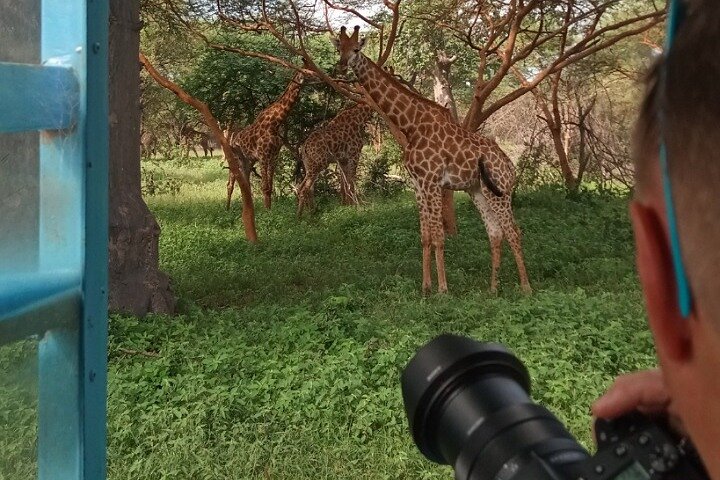 Half Day Tour :Bandia Animals Reserve - Image 4