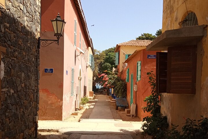 Half Day Tour : Explore Goree island - Image 4