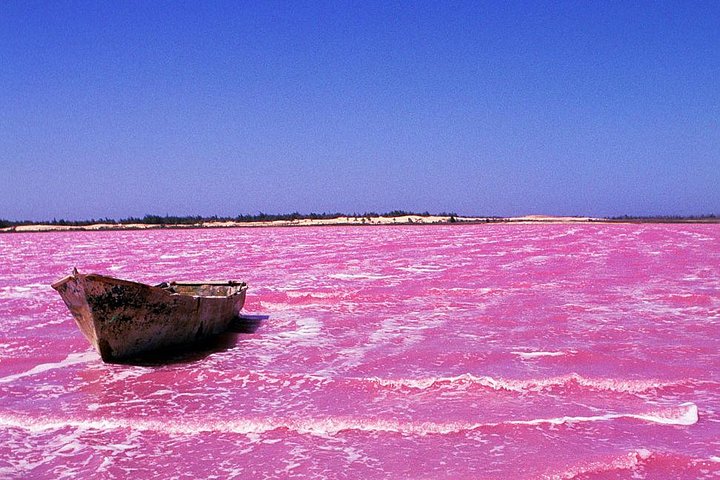 Lac Rose and Noflaye Tortoise Park - Image 1