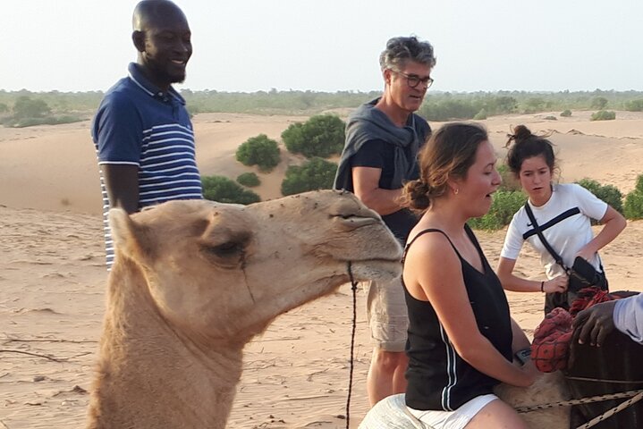 Private 10-Days Parks and Bassari Country Tour  - Image 3
