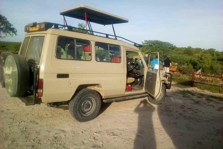 1 Night / 2 days at Mikumi National Park - Image 1