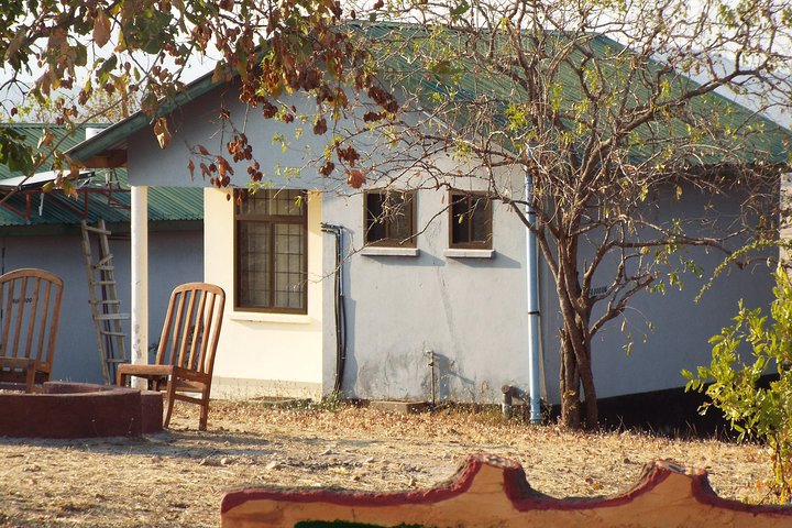 1 Night / 2 days at Mikumi National Park - Image 4