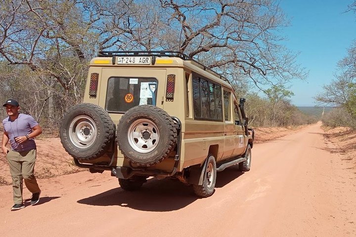 13 Days South and Eastern Tanzania Safari and Historical Sites. - Image 2