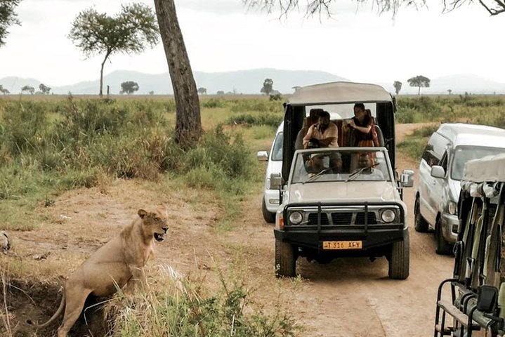  2-Day and 1 night Mikumi Safari Game Drive - Image 1