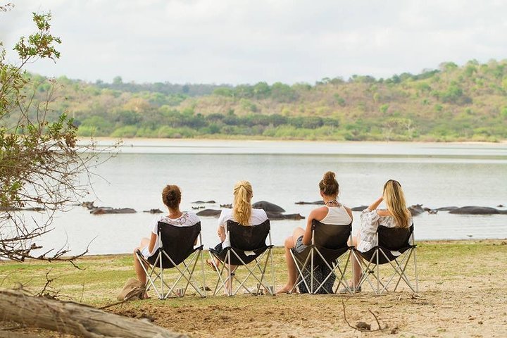 2-Day Nyerere National Park , Boat Safari & Game Drive - Image 3