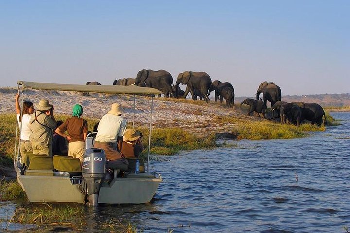2-Day Nyerere National Park , Boat Safari & Game Drive - Image 1