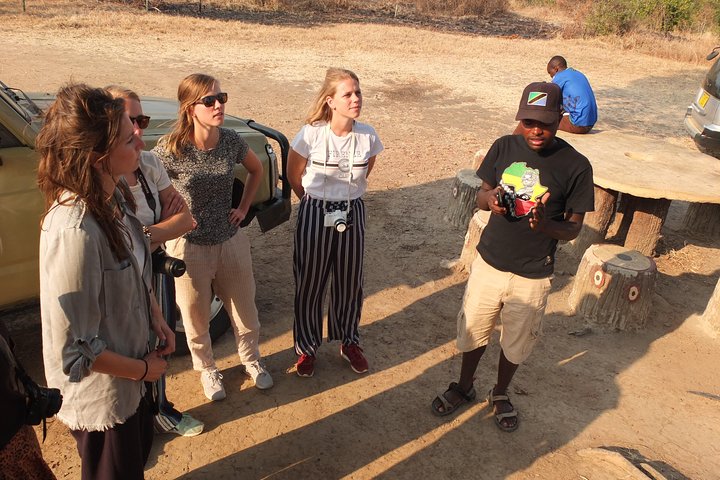 2 nights 3 days safari to mikumi national park - Image 3