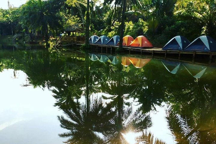 3 day guided tour of Magoroto Forest Reserve from Dar es salaam - Image 3