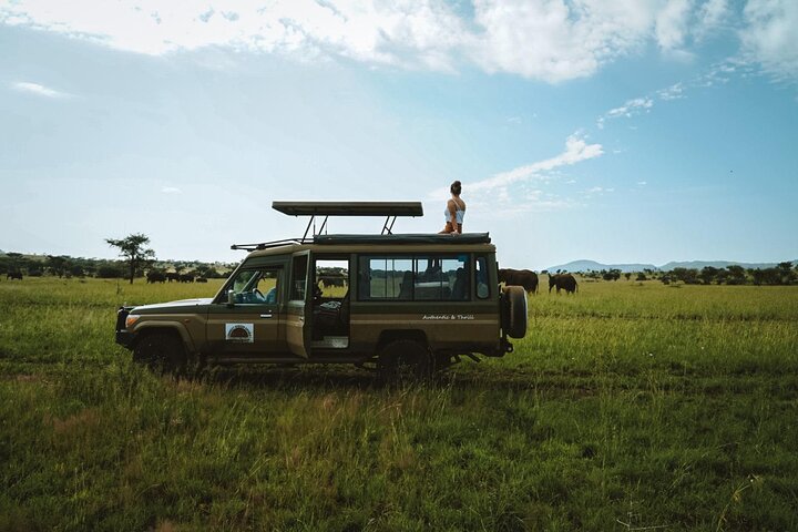 3 Days 2 Night Mikumi national park & Udzungwa walking safari - Image 2