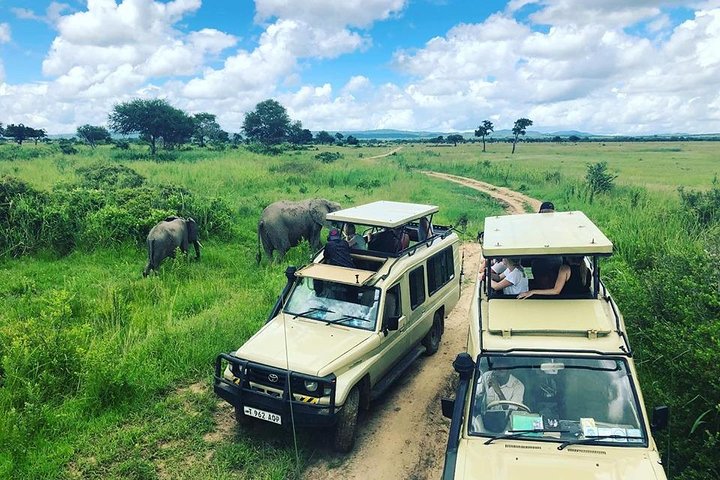 3 Days 2 Nights Adventures At Mikumi National Park - Image 1