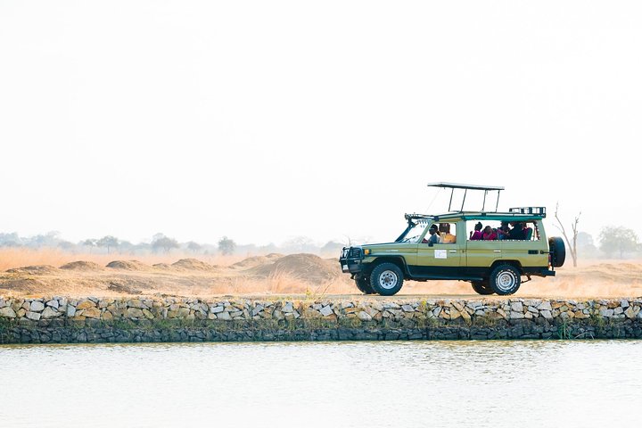 3 Days / 2 Nights Safari to Mikumi National Park - Image 2