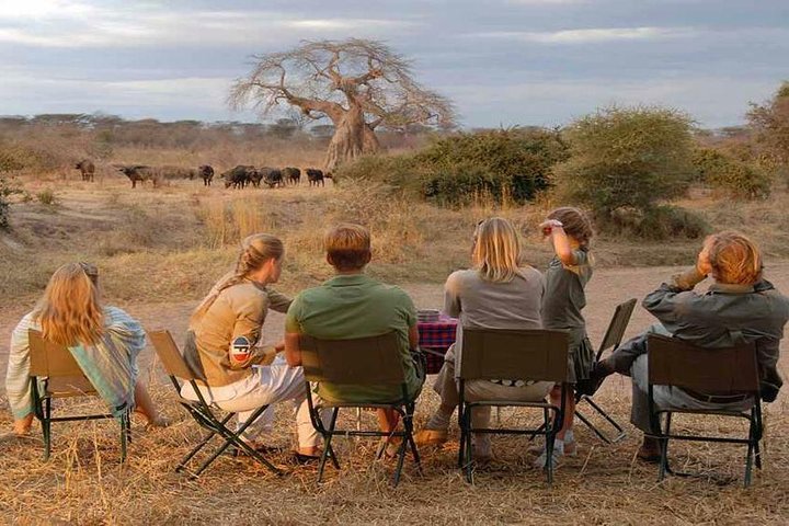 3 Days Mikumi National Park Private Safari - Image 1
