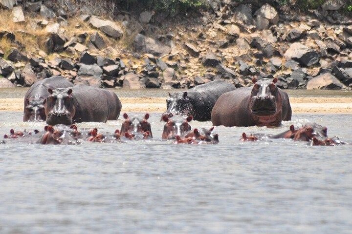 3 Days Nyerere National Park Safari (Selous Game Reserve) - Image 4