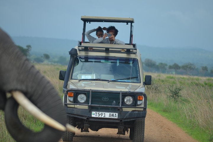3 Days Safari at Mikumi National Park Southern Tanzania - Image 5