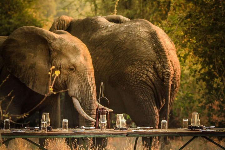 3 Days Safari - Mikumi National Park - Image 1