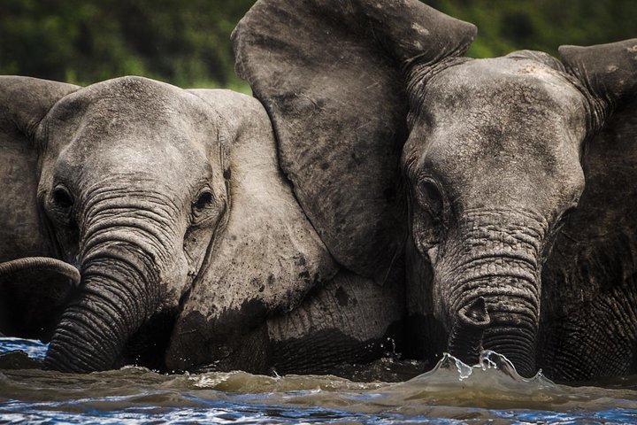 3 Days Safari - Selous Game Reserve - Image 2