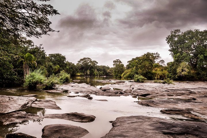 3 Days Safari - Selous Game Reserve - Image 4