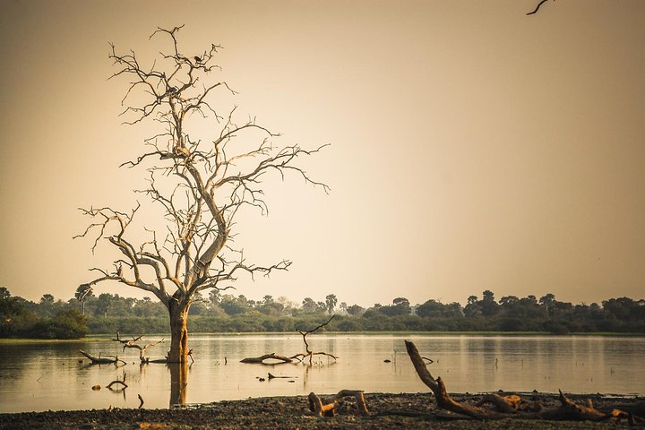 3 Days Safari - Selous Game Reserve - Image 1