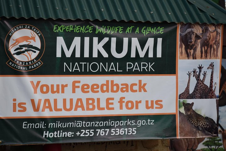 3 days safari to Mikumi and Udzungwa  - Image 3