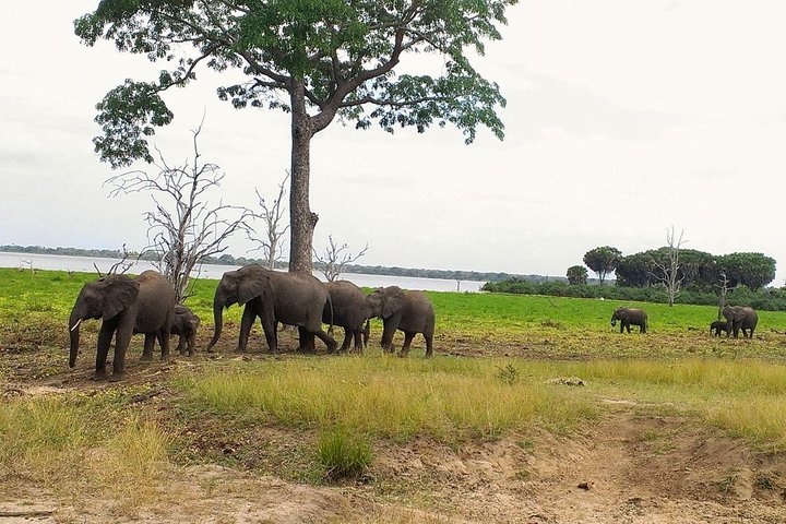 3 Days Safari to Nyerere National Park (Selous Game Reserve) - Image 1