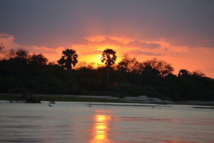 3 Days Selous Game Reserve Road Trip- Boat Safari, Game Drive And Walking Safari - Image 2