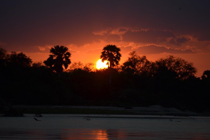 3 Days Selous Game Reserve Road Trip- Boat Safari, Game Drive And Walking Safari - Image 3