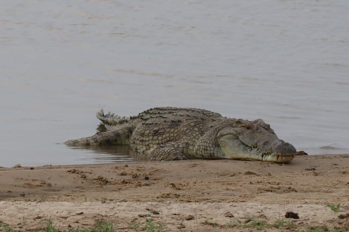 4 Days 3 Nights Selous (Nyerere national park) & Mikumi Adventure - Image 5