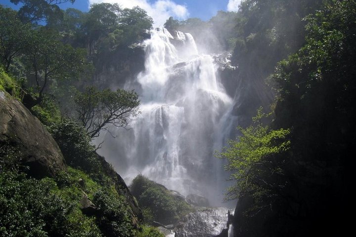 4 Days Safari to Mikumi NP and Udzungwa Mountain NP Mid - Range Accommodation - Image 1