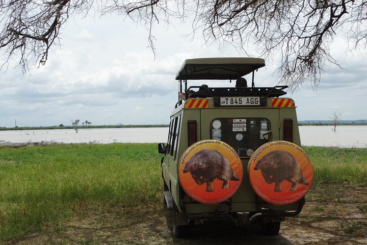 4 Days Safari to Nyerere NP (Selous GR) - Camping in the heart of the Park - Image 5
