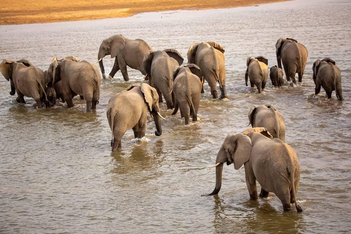 5 Day Nature Experience Mikumi and Ruaha + Ismila Stone Age+Maasai culture - Image 5