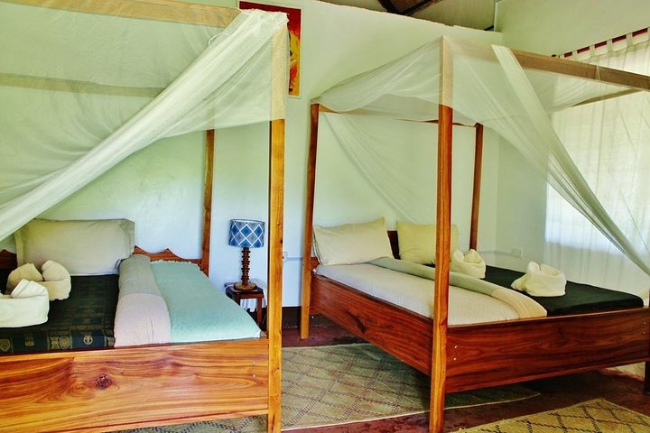 5 Days Adventure to Selous and Mikumi park - Image 2