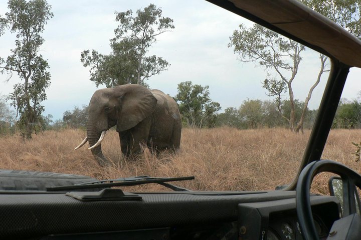 5 Days Safari to Selous & Mikumi - Image 4