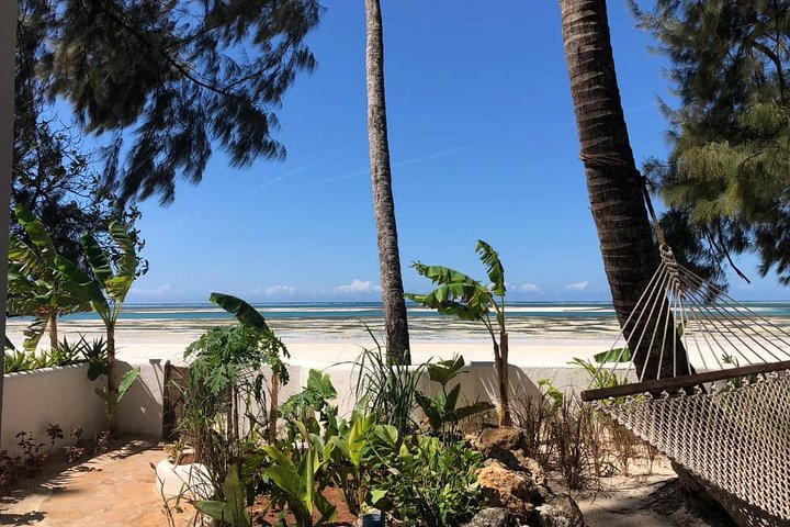 6 Day Selous Game reserve and Kilwa Beach+Snorkeling+Boat safari+Historical site - Image 1