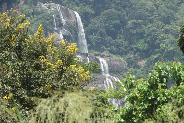 6 Days Safari to Mikumi Np, Udzungwa Mountain NP and Nyerere NP (Selous GR) - Image 2