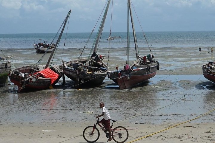Bagamoyo day trip tour - Image 2