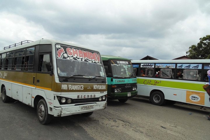 Dar Es Salaam City Tour. All Must See Things (private Guide And Transfer) 9 Hrs - Image 3