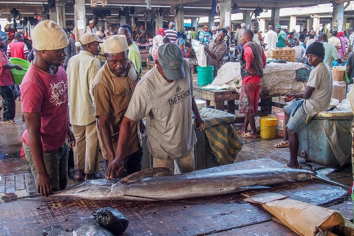 Dar Es Salaam City Tour including Delicious Seafood Lunch - Image 5