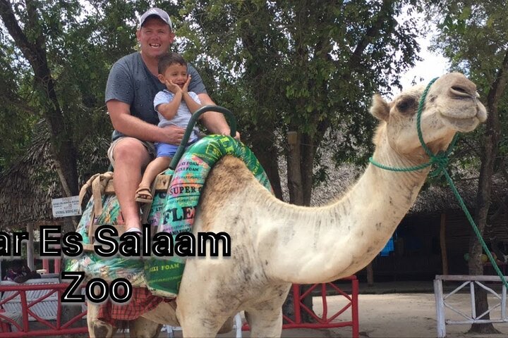 Day Trip to Dar Es Salaam Zoo & Horse Riding Tour - Image 2